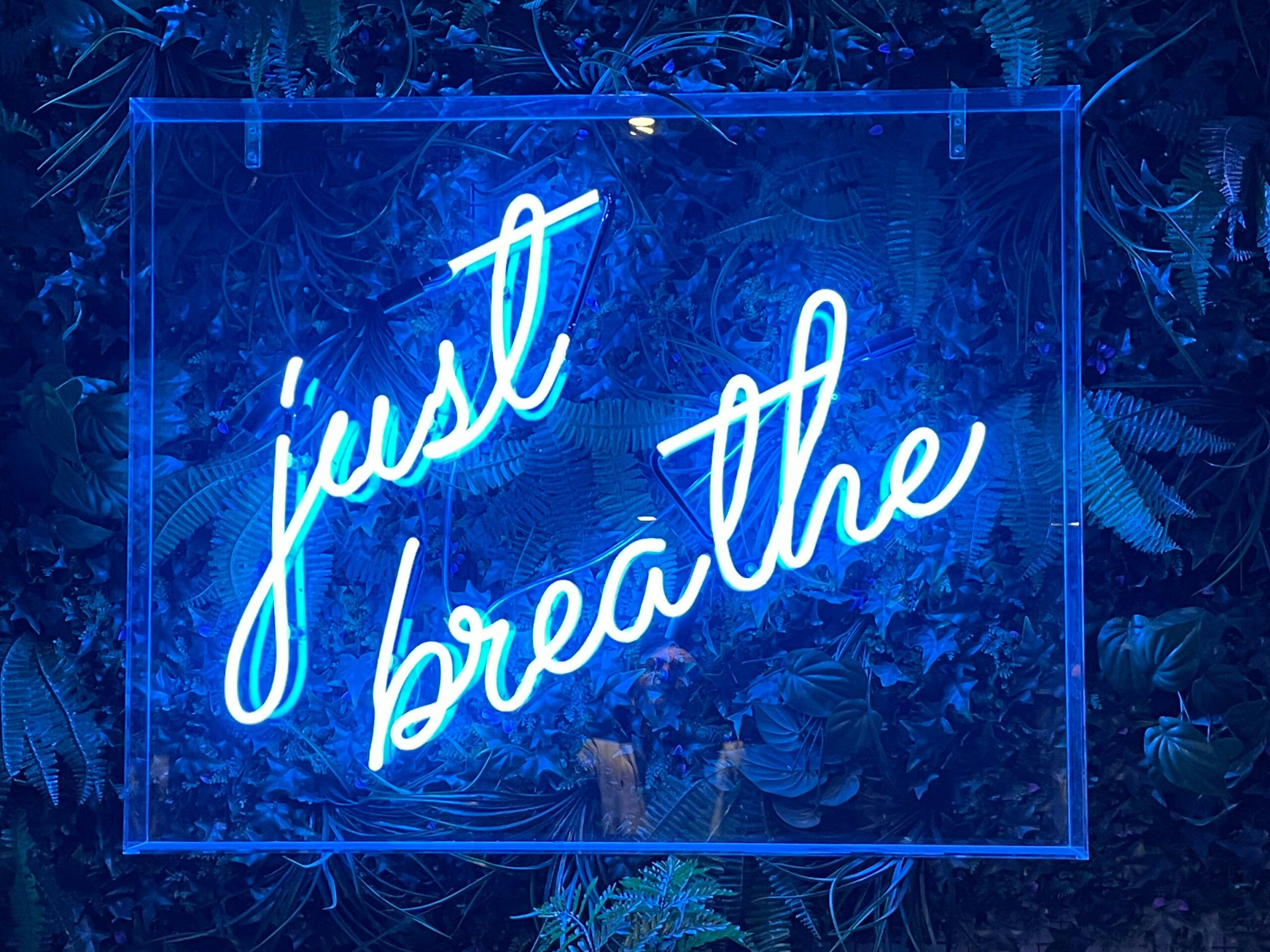 Animated GIF demonstrating diaphragmatic breathing exercise