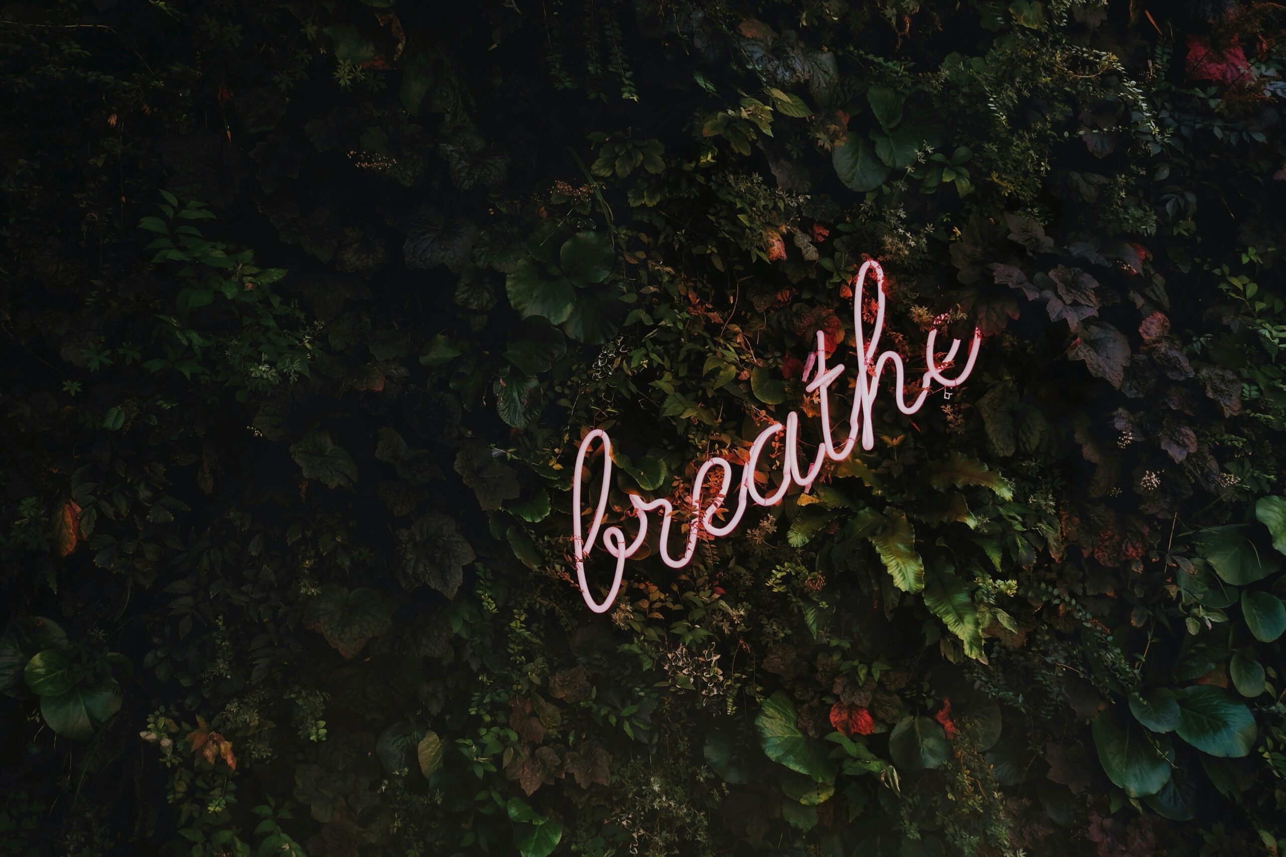 breathing exercises