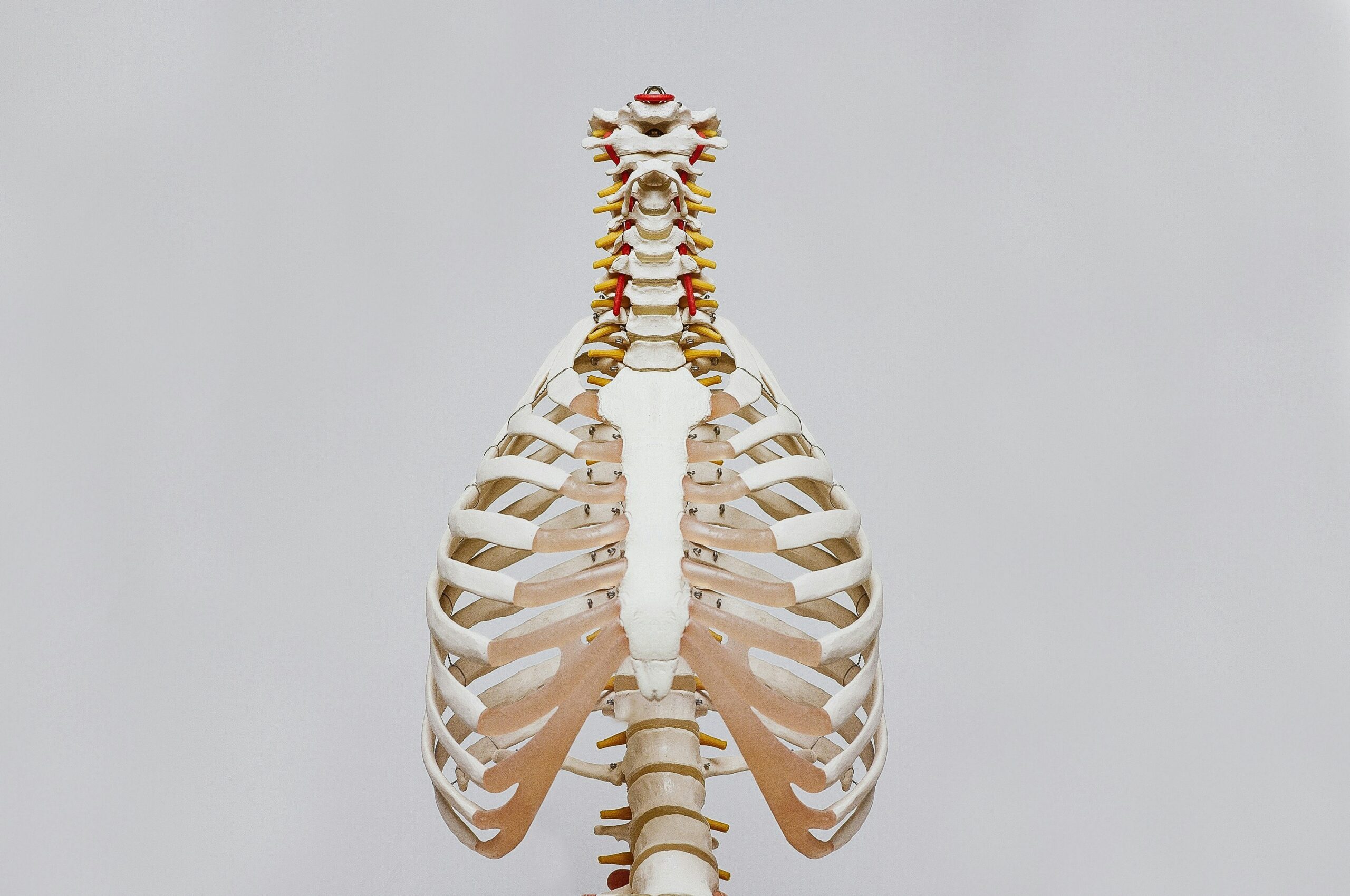 Infographic showing statistics on improper breathing patterns among adults.