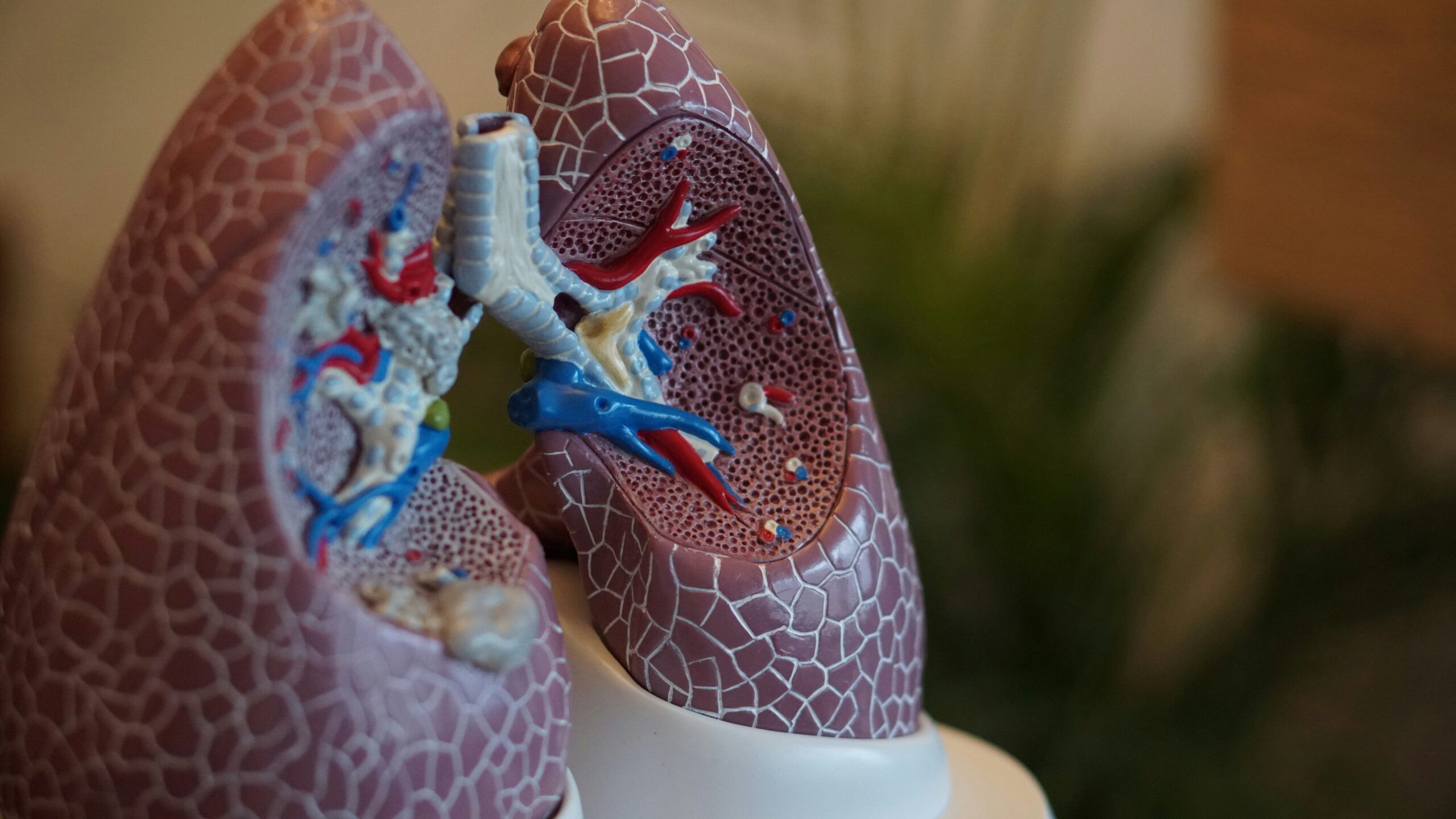 Lung Reset Communication Plans