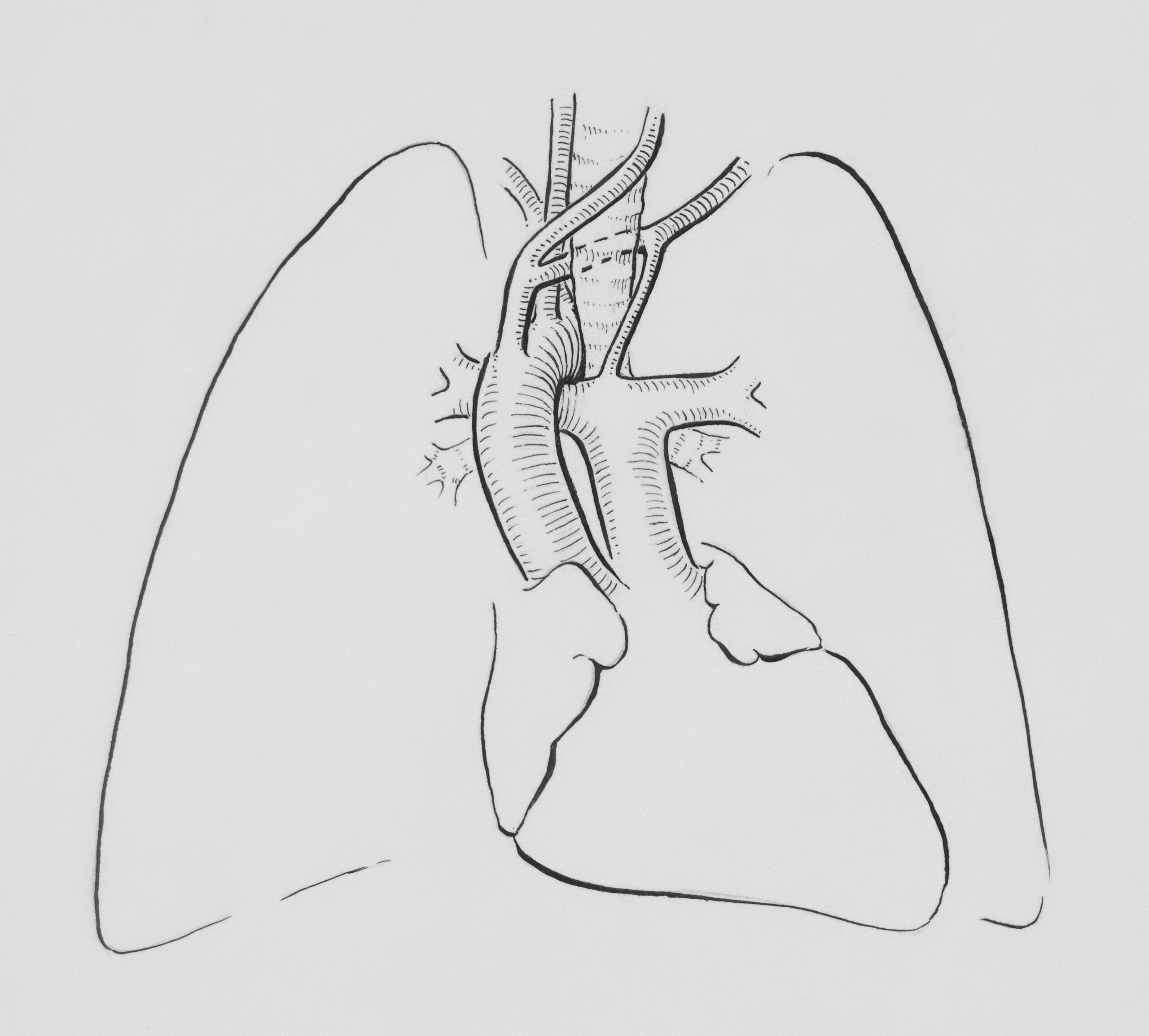 Before-and-after illustration comparing smoker lungs vs healthy lungs
