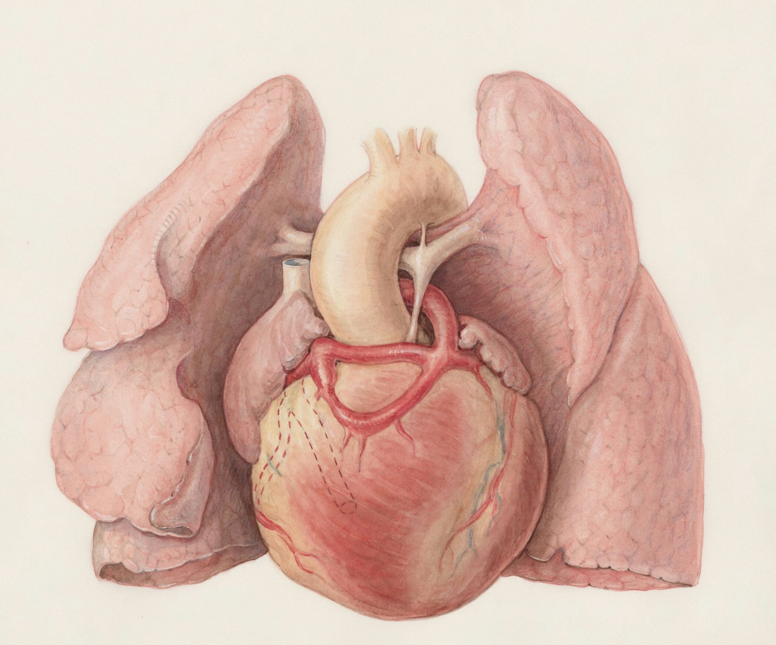 Infographic showing statistics about prevalence of shallow breathing and respiratory problems