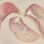 Mastering Breath Regulation: How Breathing Retraining Can Transform Your Health