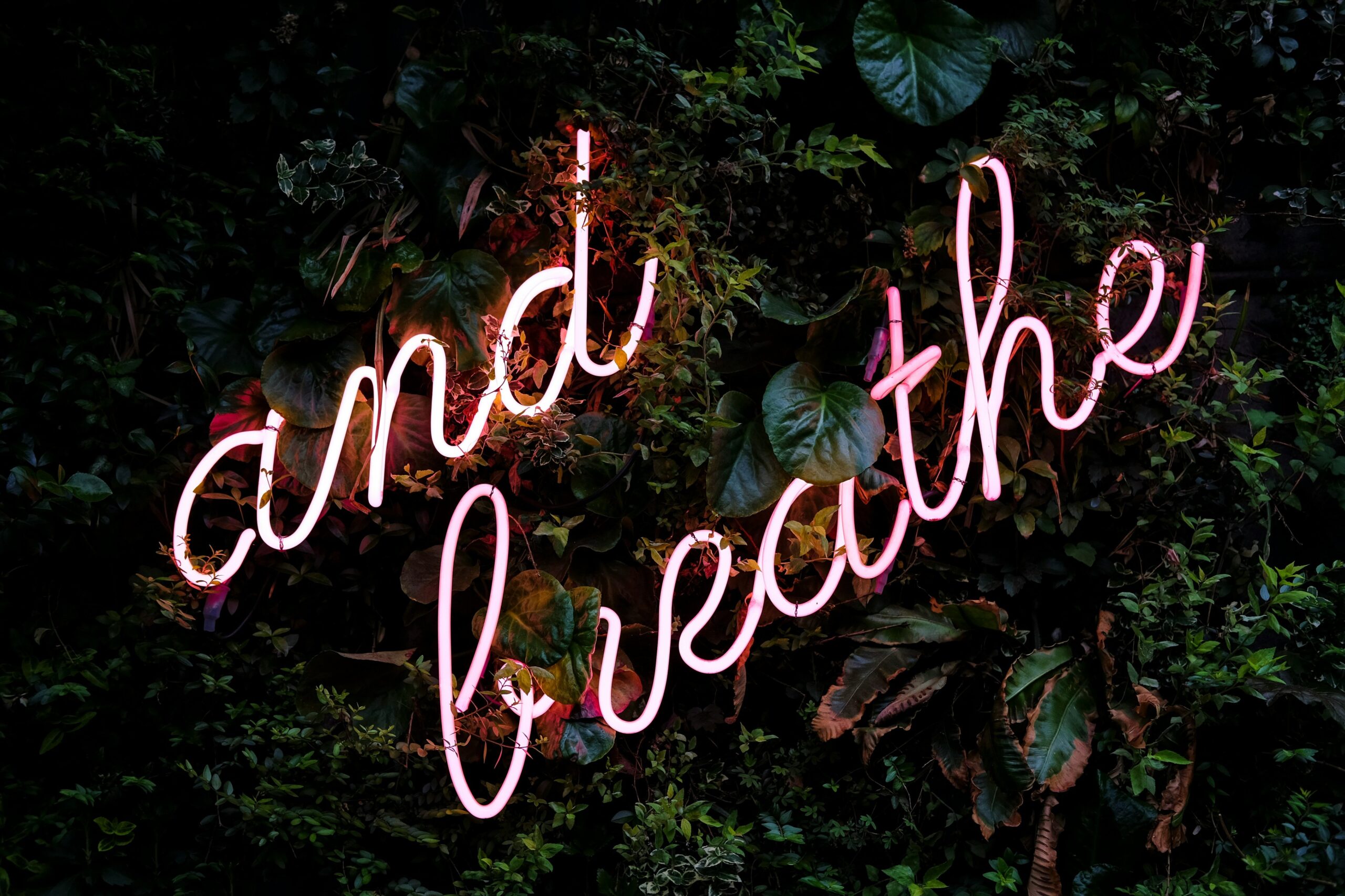 Pulmonary Reset: Unlocking the Power of Breathing Retraining for Health & Wellness