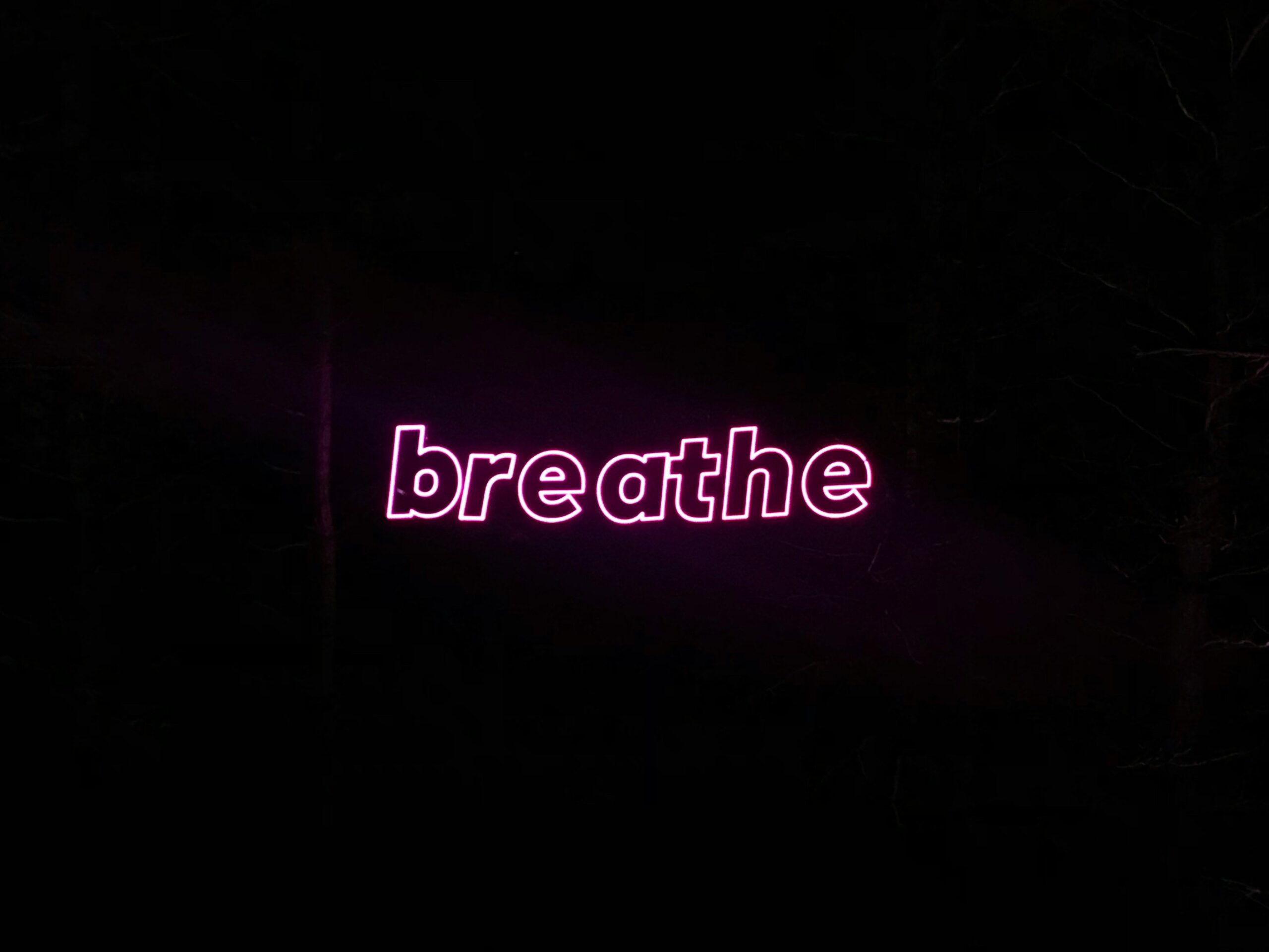 Screenshot of a guided breathing exercise app interface