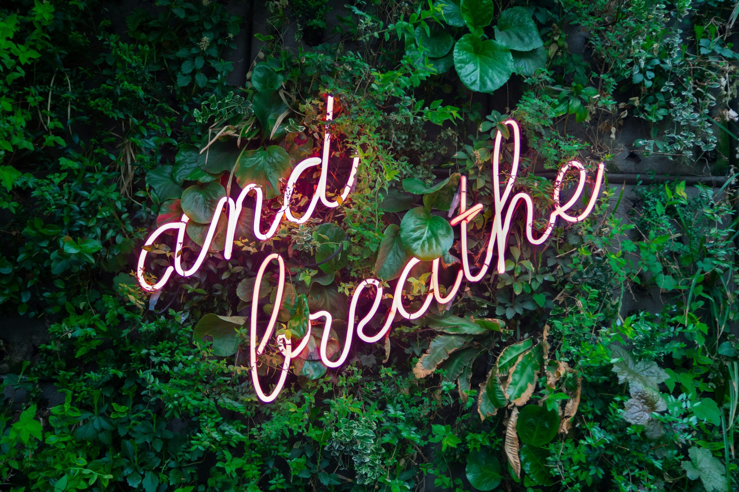 Illustration explaining diaphragmatic breathing